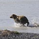 Руслан Фазлыев. Водные процедуры.